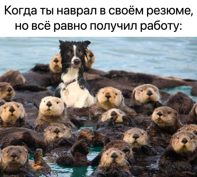 Так себе картинки Так себе картинки