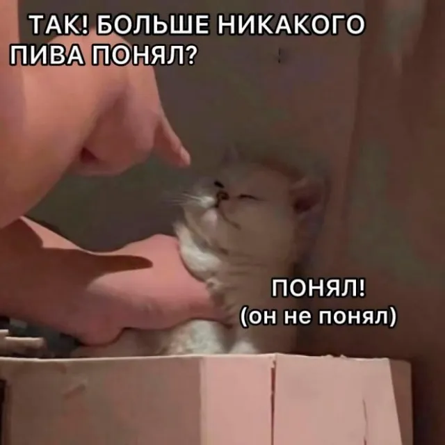 Немного картинок для настроения Немного картинок для настроения