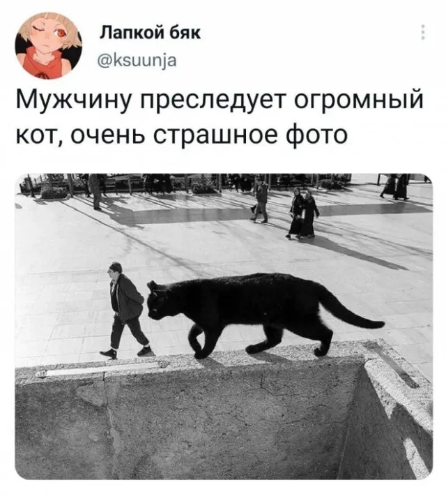 Немного картинок для настроения Немного картинок для настроения