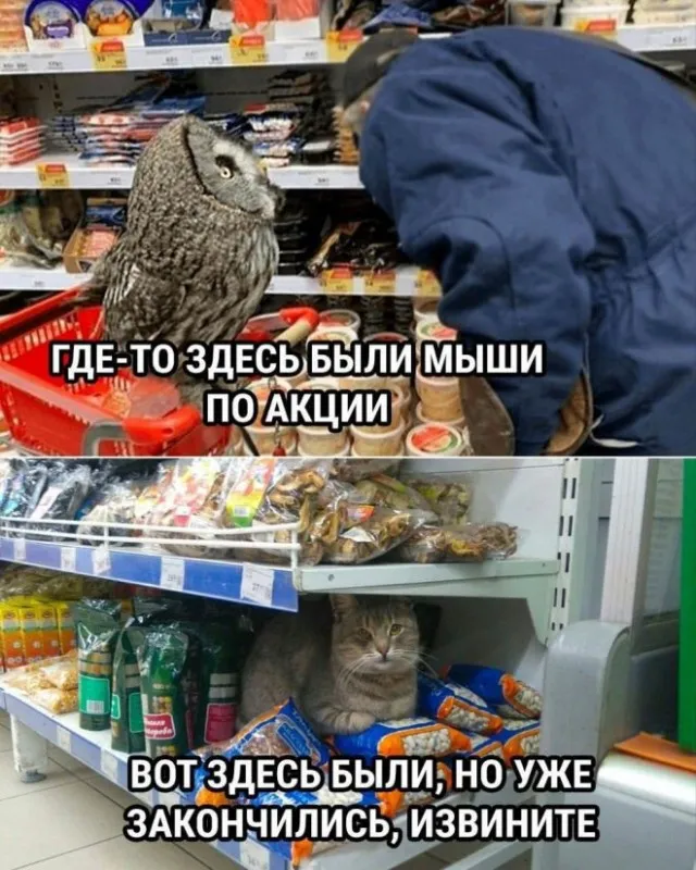 Картинки и мемы Картинки и мемы