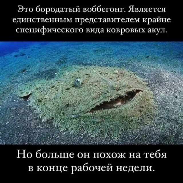 Картинки и мемы Картинки и мемы