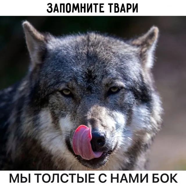 Картинки и мемы Картинки и мемы