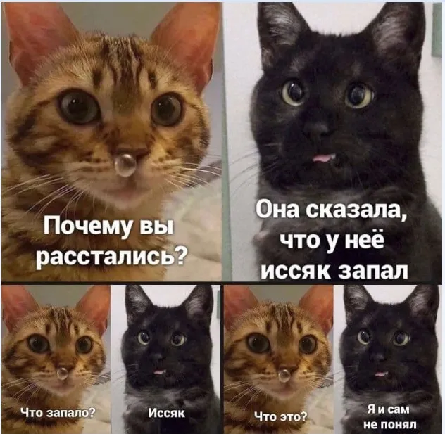 Картинки и мемы Картинки и мемы