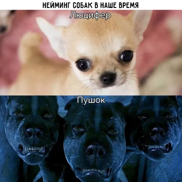 Весёлые Весёлые
