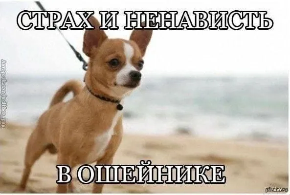 Картинки Картинки