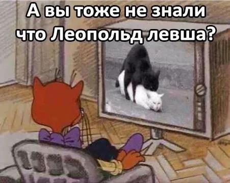 Чернь Чернь