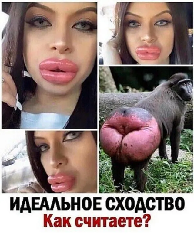 Картинки и мемы Картинки и мемы