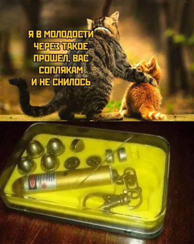 Картинки и мемы Картинки и мемы