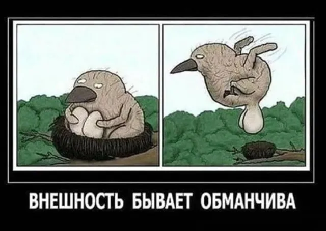 Картинки и мемы Картинки и мемы