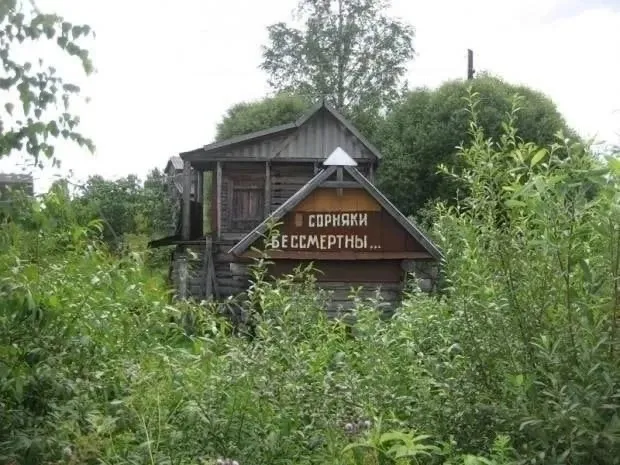 Так себе картинки Так себе картинки