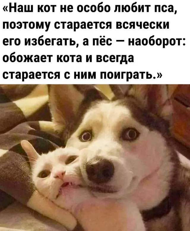 Так себе картинки Так себе картинки