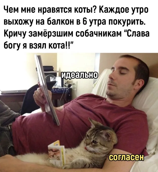 Так себе картинки
