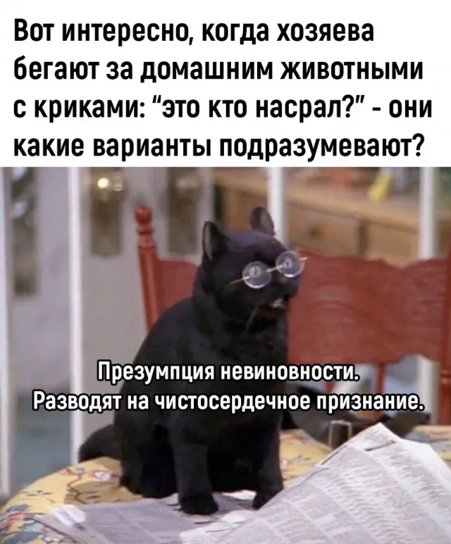 Так себе картинки Так себе картинки