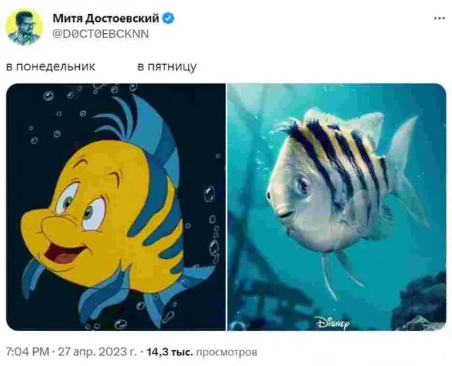 Флаундер из новой «Русалочки» стал мемом! Флаундер из новой «Русалочки» стал мемом!