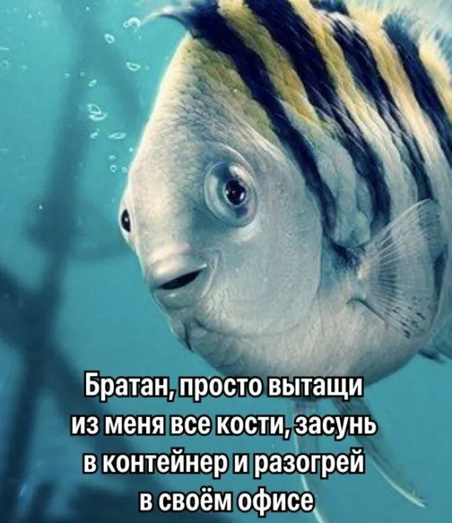Флаундер из новой «Русалочки» стал мемом! Флаундер из новой «Русалочки» стал мемом!