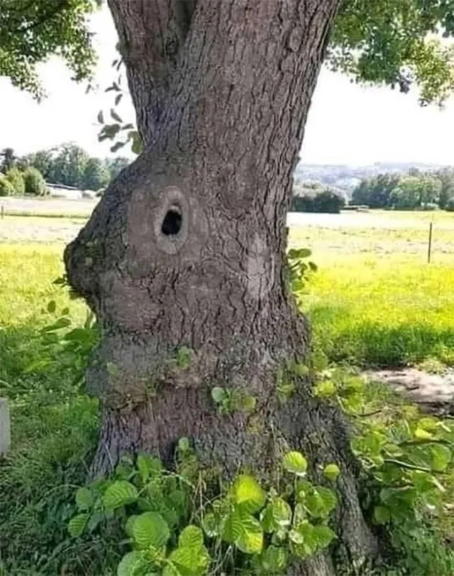 Изображение Изображение