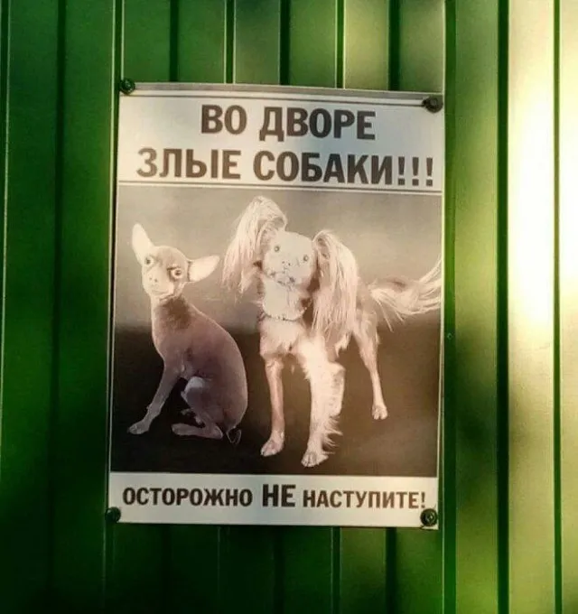 Немного картинок Немного картинок