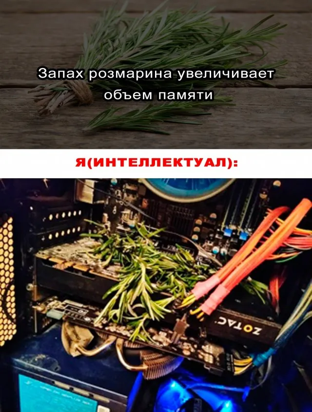 Весёлые Весёлые