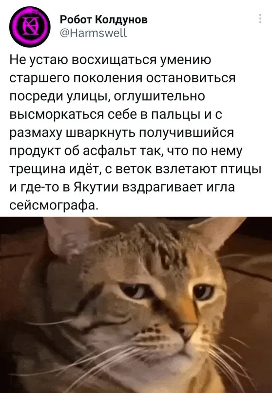 Весёлые Весёлые