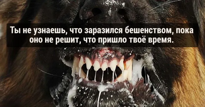 15 жутких научных фактов, которые действительно пугают 15 жутких научных фактов, которые действительно пугают