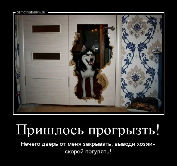 Демотиваторы Демотиваторы