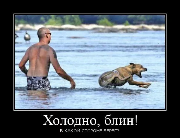Демотиваторы Демотиваторы