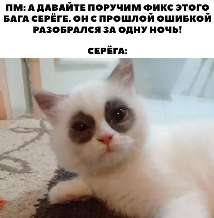 А надо было в штукатуры и сварщики: когда все решили уйти в АйТи А надо было в штукатуры и сварщики: когда все решили уйти в АйТи