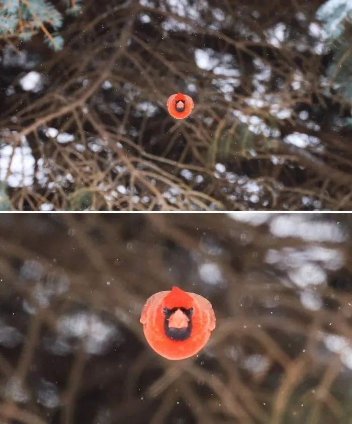 Фотоподборка Фотоподборка