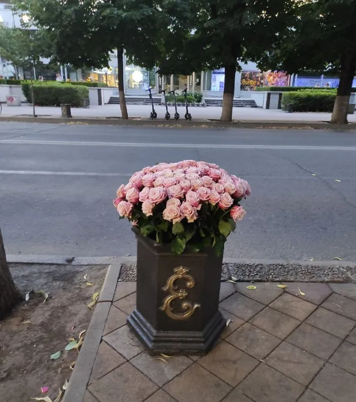 Если есть на свете рай, это... пост о Краснодаре Если есть на свете рай, это... пост о Краснодаре