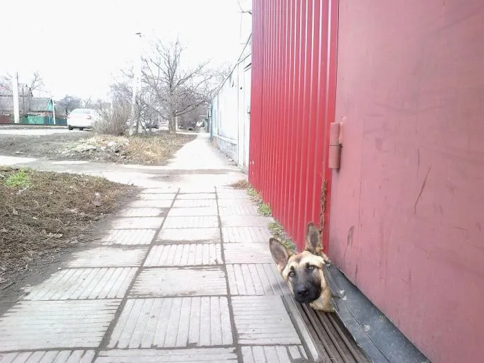 Если есть на свете рай, это... пост о Краснодаре Если есть на свете рай, это... пост о Краснодаре
