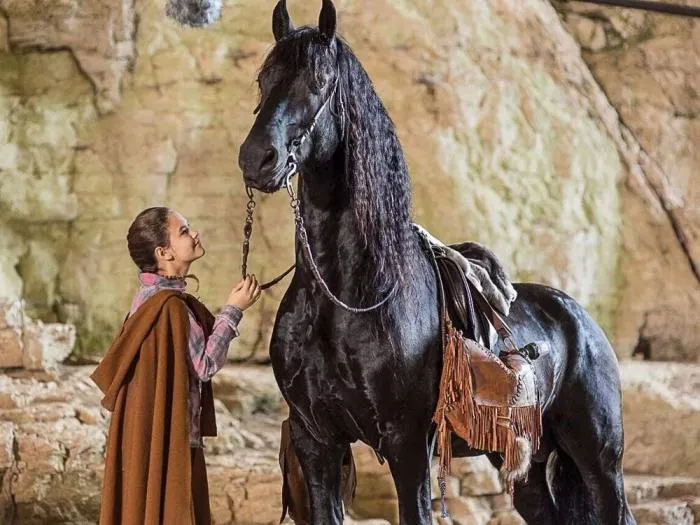 Фризская лошадь: Рыцари исчезли, а кони остались. Чем сейчас занимается боевой конь средневековья?