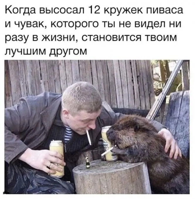 Алкопост Алкопост