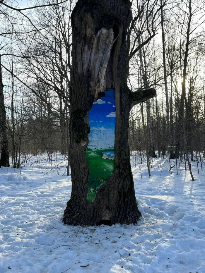 Фотоподборка Фотоподборка