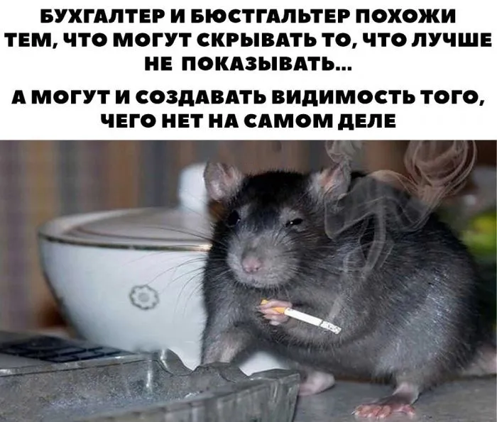 Пост о бюстгальтерах: маленьких, больших, мокрых и пластиковых Пост о бюстгальтерах: маленьких, больших, мокрых и пластиковых
