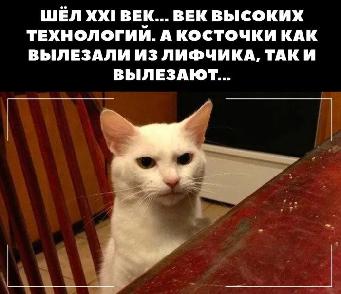 Пост о бюстгальтерах: маленьких, больших, мокрых и пластиковых Пост о бюстгальтерах: маленьких, больших, мокрых и пластиковых
