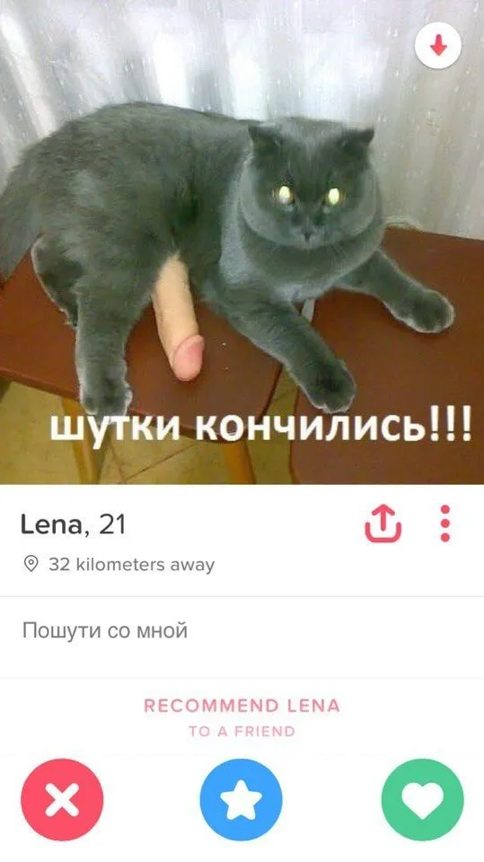 Забавные и странные анкеты людей с сайта знакомств Забавные и странные анкеты людей с сайта знакомств