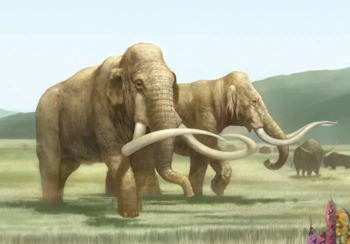 Трогонтериевый слон: Отец титанов. Он дал начало шерстистым мамонтам и тяжёлой поступью освоил половину земного шара
