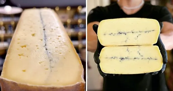 Подборка самых необычных разновидностей сыров