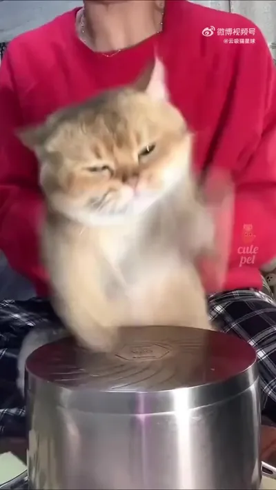 Музыкальное