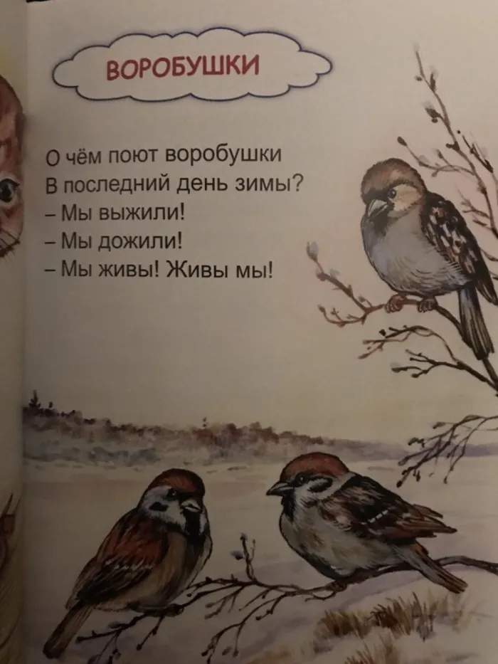 Нестандартный юмор :)