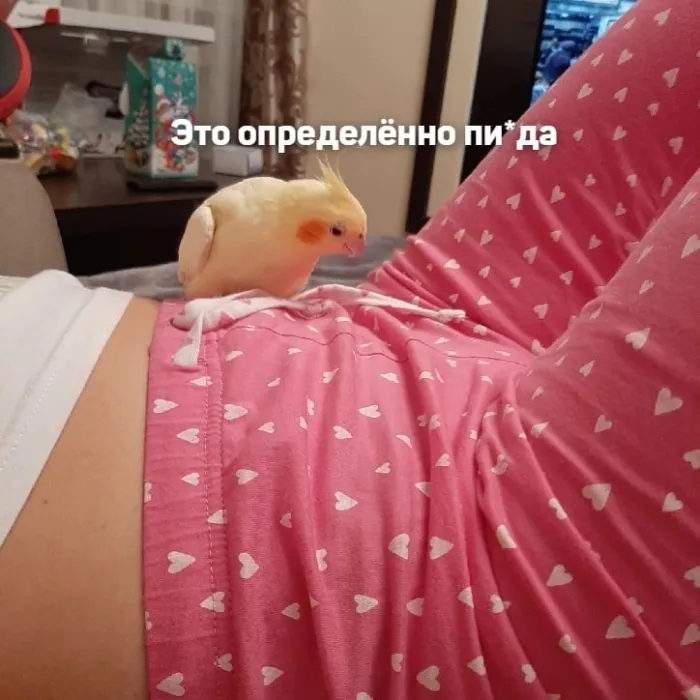 Нестандартный юмор :)