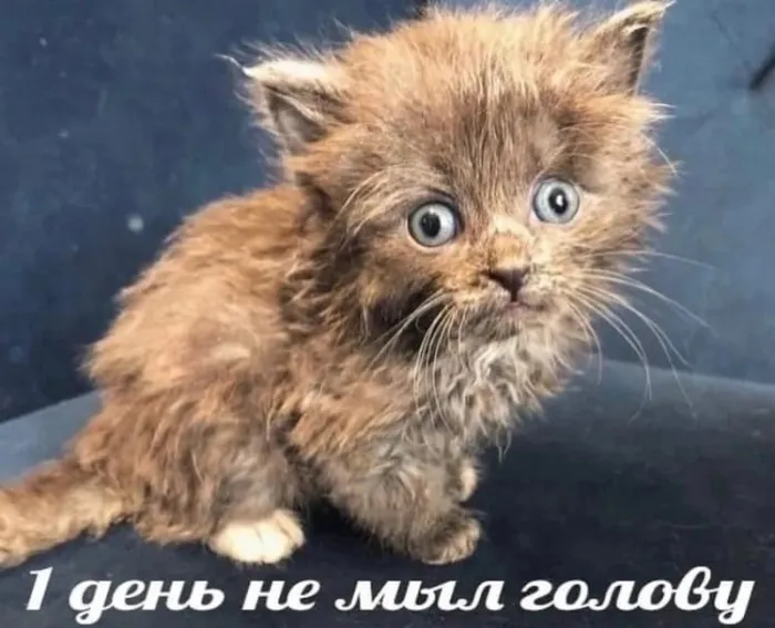 Нестандартный юмор :)