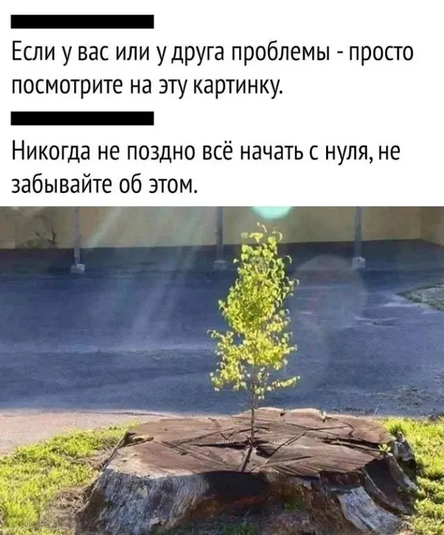Прикольные и просто красивые картинки