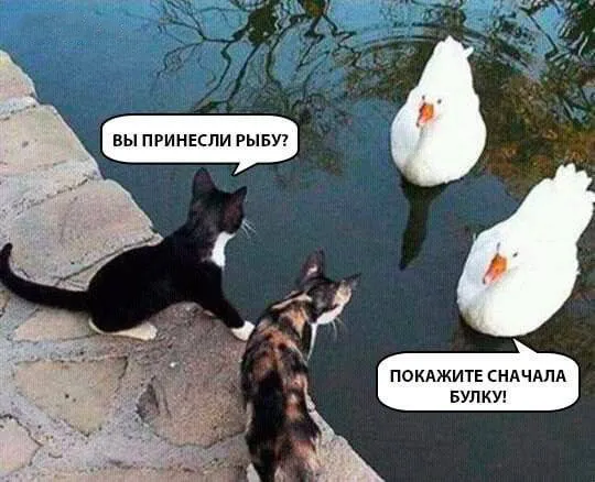 Подборка картинок Подборка картинок