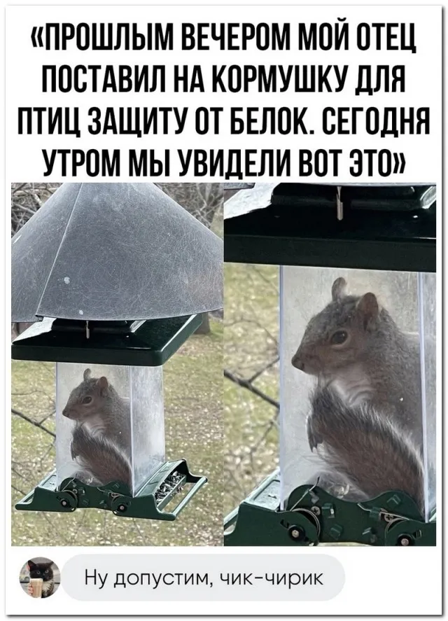 Забавные комментарии из социальных сетей Забавные комментарии из социальных сетей