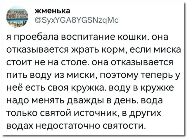 Забавные комментарии из социальных сетей Забавные комментарии из социальных сетей