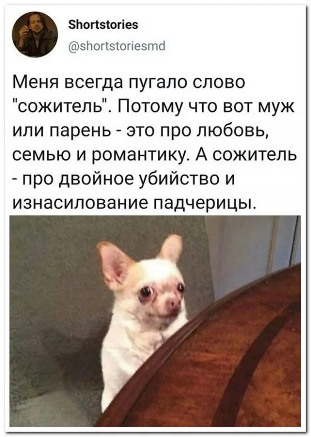Забавные комментарии из социальных сетей Забавные комментарии из социальных сетей
