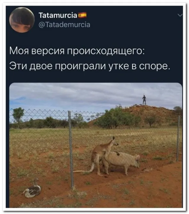 Забавные комментарии из социальных сетей Забавные комментарии из социальных сетей