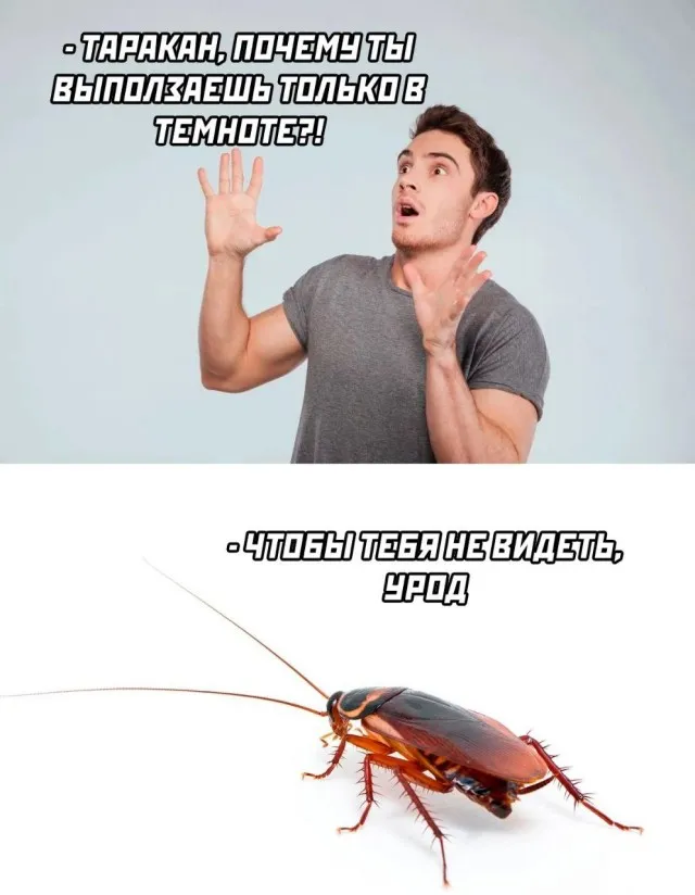 Деграднем на отлично Деграднем на отлично