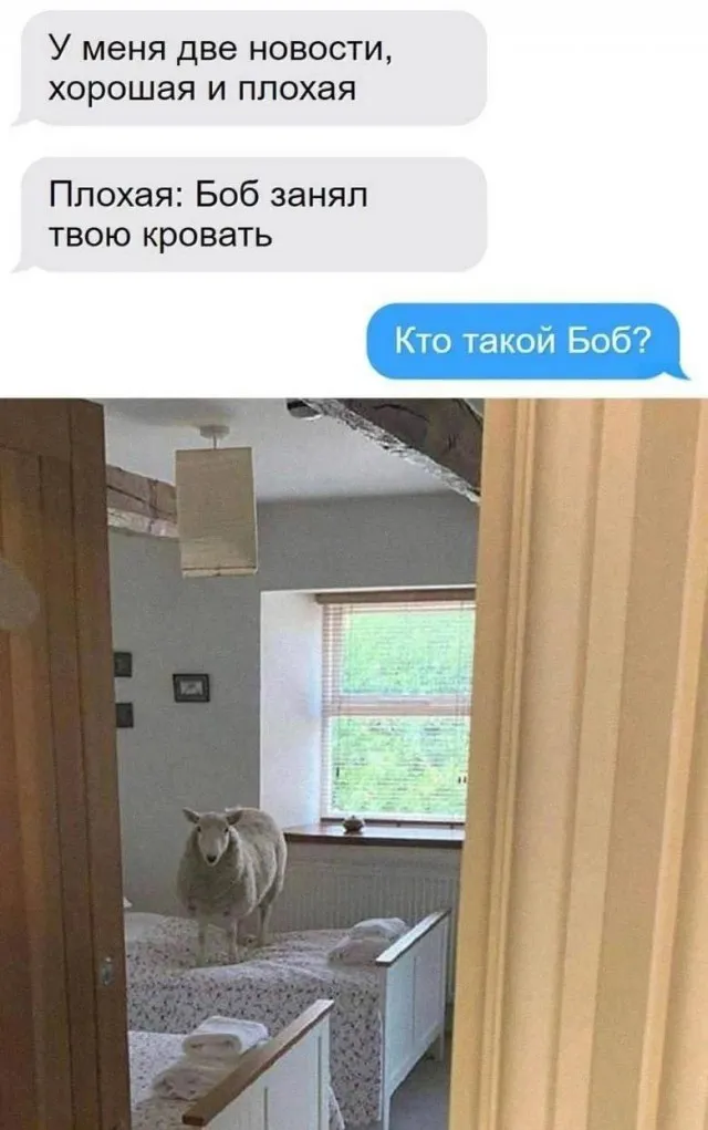 Деграднем на отлично Деграднем на отлично
